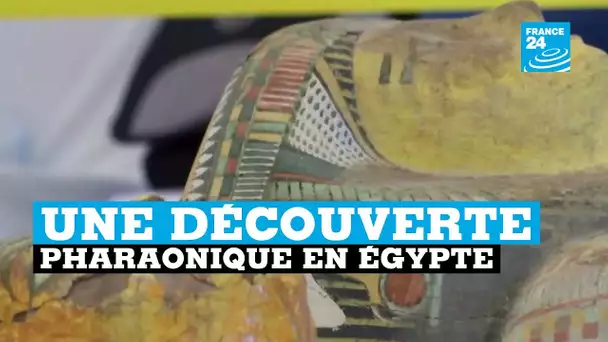 Egypte, une découverte pharaonique