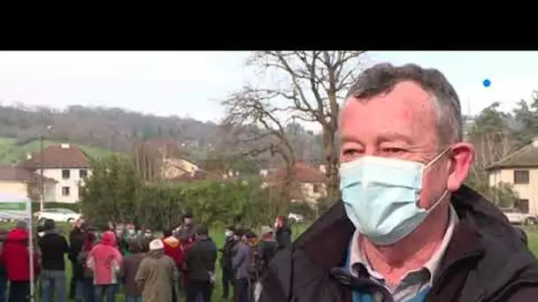 Corrèze : initiation a la taille des arbres fruitiers