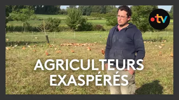 En attente des aides de la PAC, les agriculteurs sont exaspérés