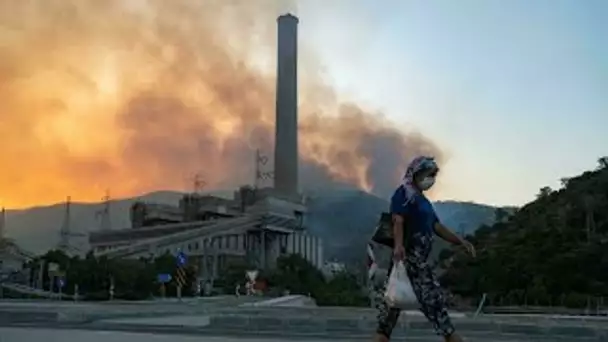 Incendies en Turquie : le feu aux portes d'une centrale thermique à Milas • FRANCE 24