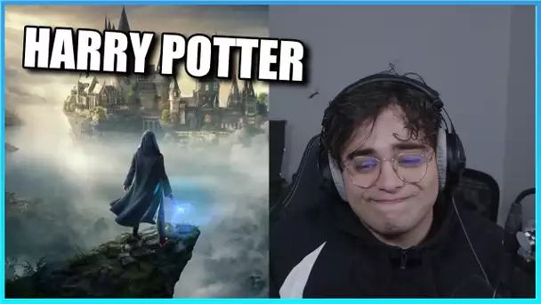 KAMETO DONNE SON AVIS SUR HOGWARTS LEGACY