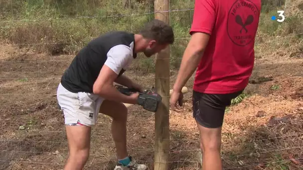 Anglet: que reste-t-il de la forêt de Chiberta?