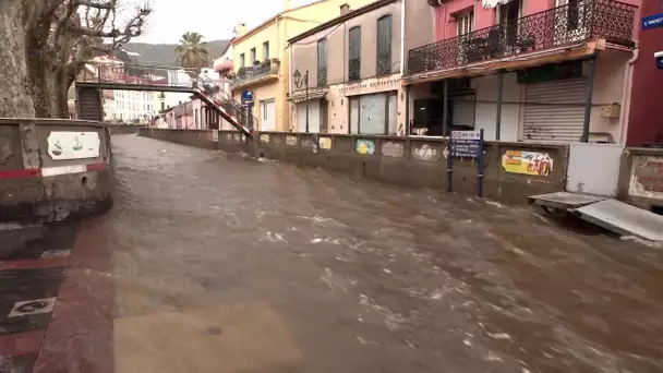 Tempête Gloria : un épisode Méditerranéen d'hiver plutôt rare