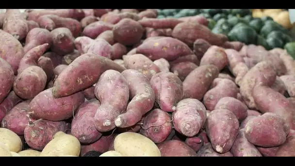 La recette des chips de patate douce