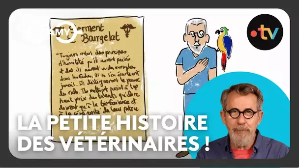 La petite histoire des vétérinaires et du mouchoir de poche ! - C Dingue ! - C Jamy