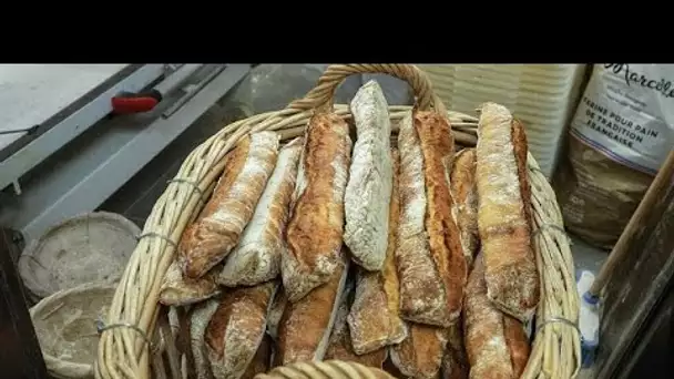 France  : le prix de la baguette subit l'effet de l'augmentation du cours du blé