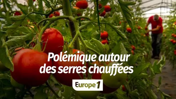 Polémique autour des serres chauffées : "Il faut que nos comportements changent et manger des lég…