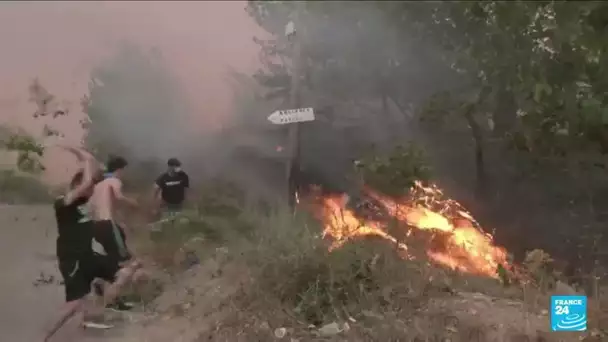 Incendies en Algérie : au moins 42 personnes tuées, des feux d'origine criminelle • FRANCE 24