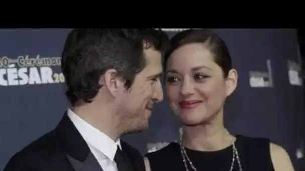 Rumeurs d'infidélité : Marion Cotillard révèle la terrible réaction de Guillaume Canet