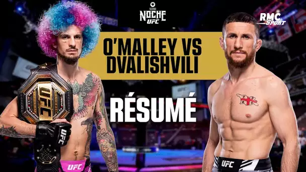 UFC 306 : Dvalishvili est-il parvenu à faire tomber O'Malley chez les -61 kg ?