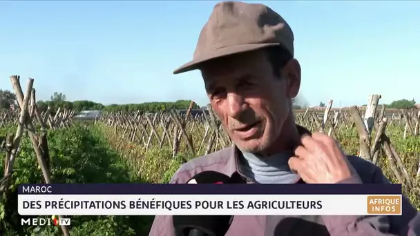 Des précipitations bénéfiques pour l´agriculture