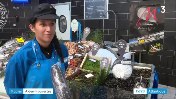 À Charron en Charente-MAritime, les moules de Bouchot à nouveau autorisée à la vente