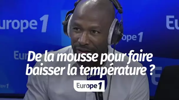 Climat : couvrir les façades des bâtiments avec de la mousse pour faire baisser la température