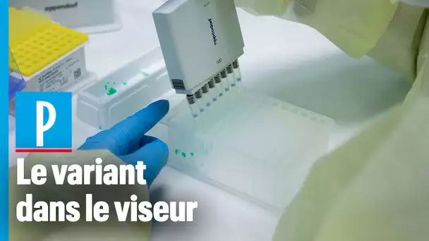 Comment ce laboratoire parvient à détecter le variant anglais du Covid-19