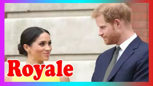 Meghan et Harry 'n'ont pas fait grand-chose' mais marque Sussex 'puissante' après départ de Megxit