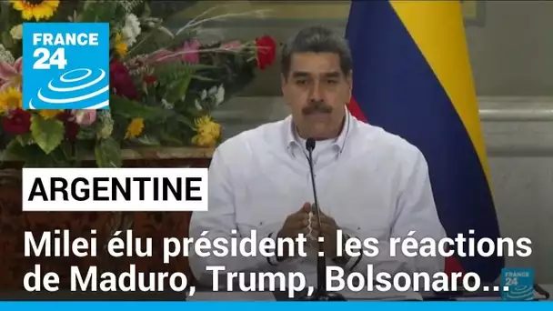 Argentine : Javier Milei, élu président, promet de vaincre l'inflation chronique • FRANCE 24