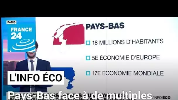 Pays-Bas : un petit pays dans la cour des grands face à de multiples enjeux économiques • FRANCE 24