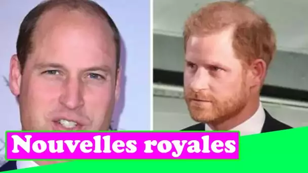 Déchaînement « envieux » du prince Harry envers le prince William : « Un jour, tu seras roi !