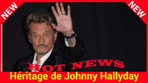 Héritage de Johnny Hallyday : « Johnny n’aimait pas la mentalité française »