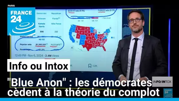 « Blue Anon » ou quand les démocrates cèdent à la théorie du complot • FRANCE 24