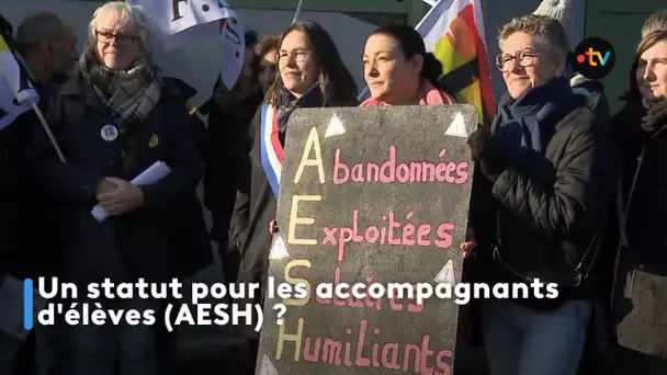 Un statut pour les accompagnants d'élèves (AESH)  ?