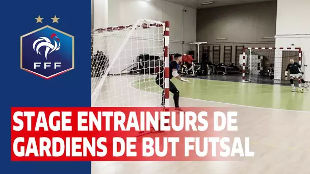 Formation : Stage entraîneurs et référents gardiens de but Futsal