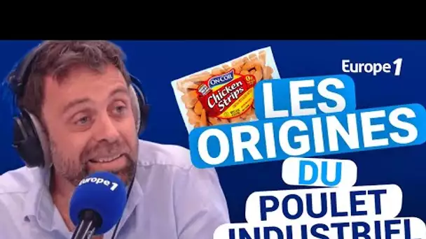 Les origines du poulet industriel avec David Castello-Lopes