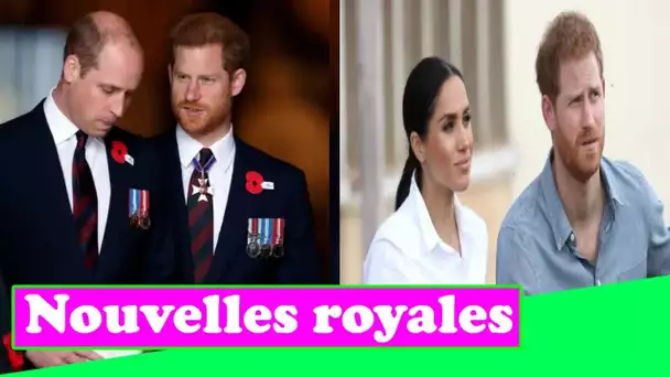 Les amis du prince Harry disent que Meghan "peut être un cauchemar à 500%", selon l'auteur royal