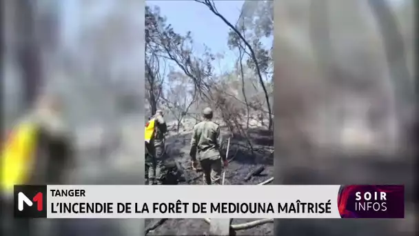 Maroc: l´incendie de la forêt de Mediouna maitrisé