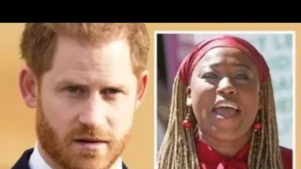 Le Dr Shola critique les critiques du prince Harry après que Duke n'a pas assisté au mémorial du pri