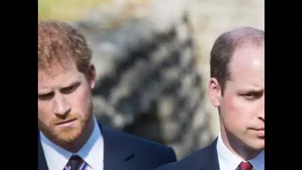 Harry et William « unis » pour l'amour de la princesse Diana