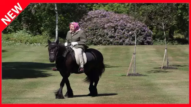 ✅  Elizabeth II, toujours à cheval à 94 ans : cette photo très remarquée