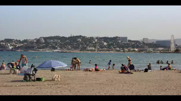 Canicule, nuits tropicales... les températures s'envolent à Marseille