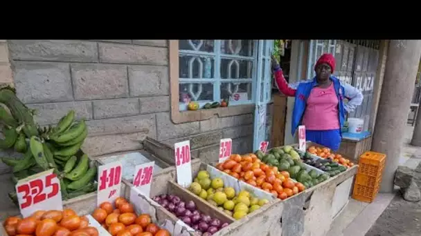 La faim se stabilise dans le monde mais son élimination est encore "hors de portée" selon l'ONU