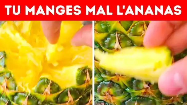 Toute Ta vie Tu as Mangé de l’Ananas de la Mauvaise Manière