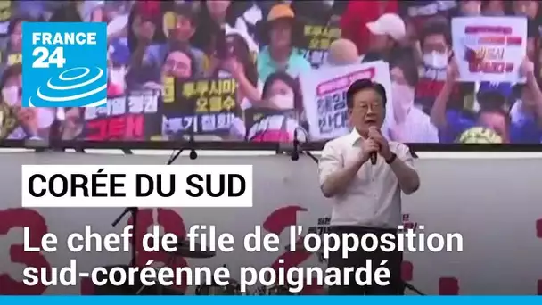 Le chef de file de l'opposition sud-coréenne poignardé • FRANCE 24