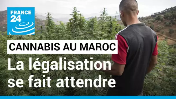 Légalisation du cannabis au Maroc : les cultivateurs lassés d'attendre • FRANCE 24