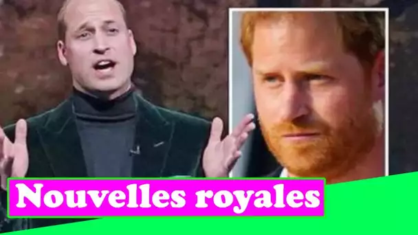 Les fans de Sussex font rage alors qu'Harry est invité à avoir "honte" du nouveau projet William