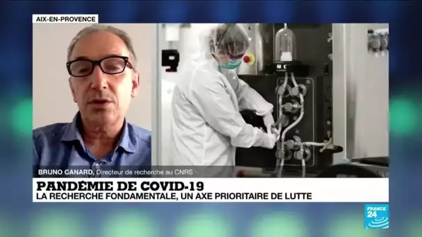 Covid-19 - Recherche fondamentale : "Il y a eu un décrochage qui est visible et questionnable"