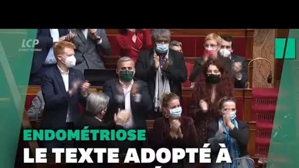 Endométriose: les députés adoptent la proposition de loi insoumise