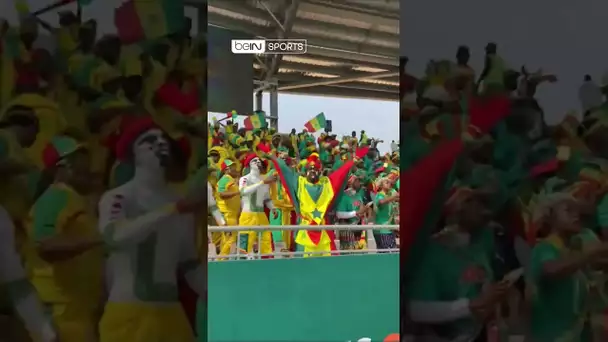 🏆🌍 CAN 2023 : Le festival des supporters sénégalais ! 🇸🇳 #Shorts