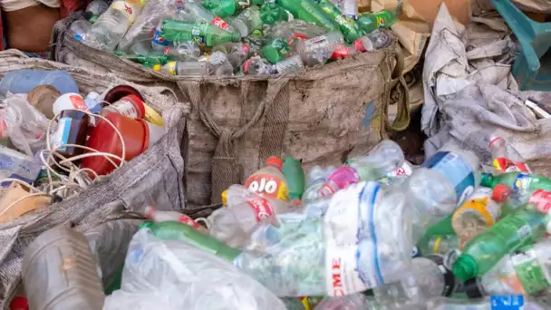 Pollution plastique : «La France seule ne peut rien, arrêtons de nous flageller !»