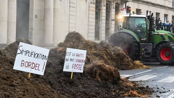 Agriculteurs : «C’est du ras-le-bol», les paysans résignés face aux contraintes juridiques et adm…