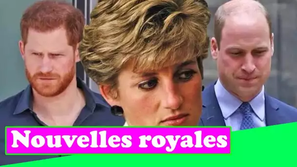 La princesse Diana considérait Harry comme le futur ailier du roi William – aurait le cœur brisé à l