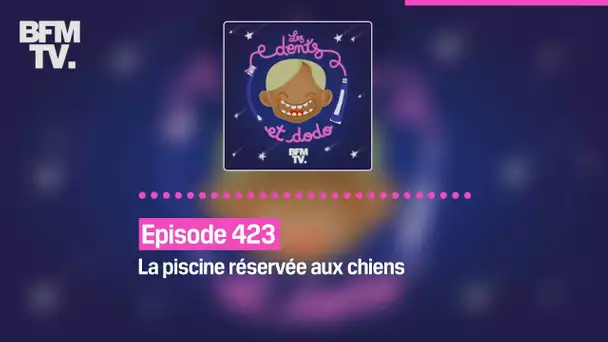 Les dents et dodo - Episode 423: la piscine réservée aux chiens