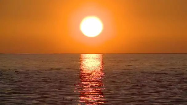 Hérault : un week-end de Saint-Valentin à la plage et sous le soleil