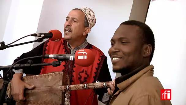 Abdelslam Alikane Souiri et Songhoy Blues dans "Hasna Ya Leila" - Festival gnawa d'Essaouira, Maroc