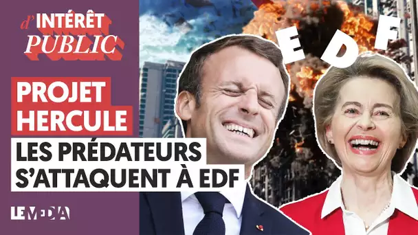 PROJET HERCULE : LES PRÉDATEURS S'ATTAQUENT À EDF