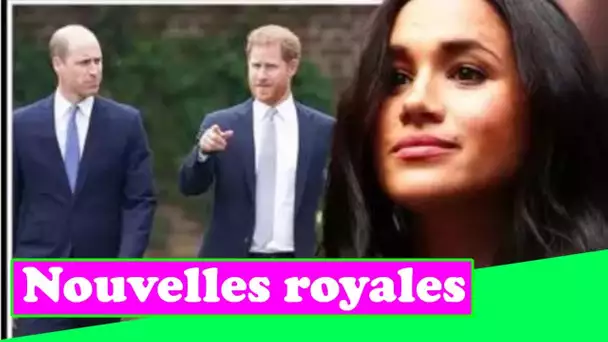 Les bévues royales de Meghan Markle ont suscité le cœur à cœur du prince William avec le prince Harr