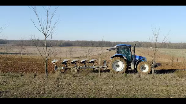 Maraîcher, un métier difficile avec le changement climatique